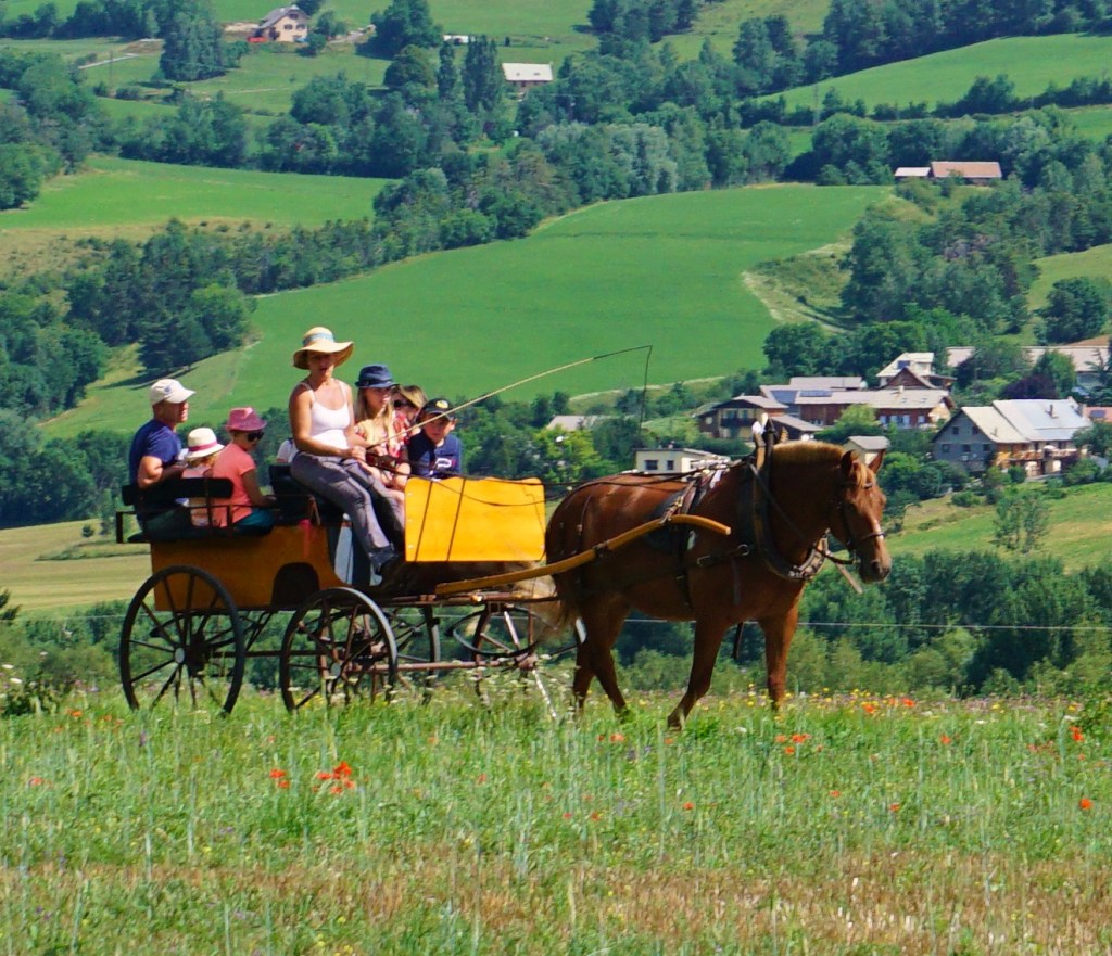 Balade en calèche